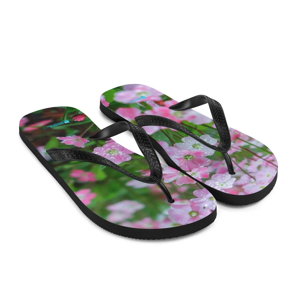 Flip-Flops